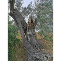 01235758226e451ca66468eef026cb63