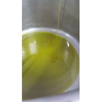 olio 02