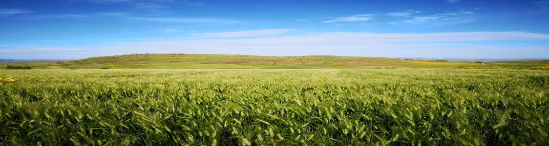 Azienda agricola Tela Fertile