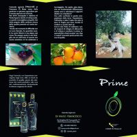 img_20181113_190834_833