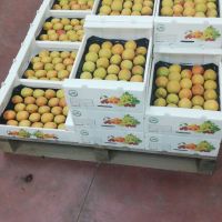 img_20190622_200821_533