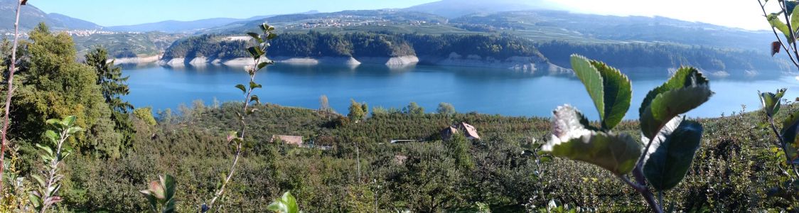 Azienda biologica Rossi Paolo