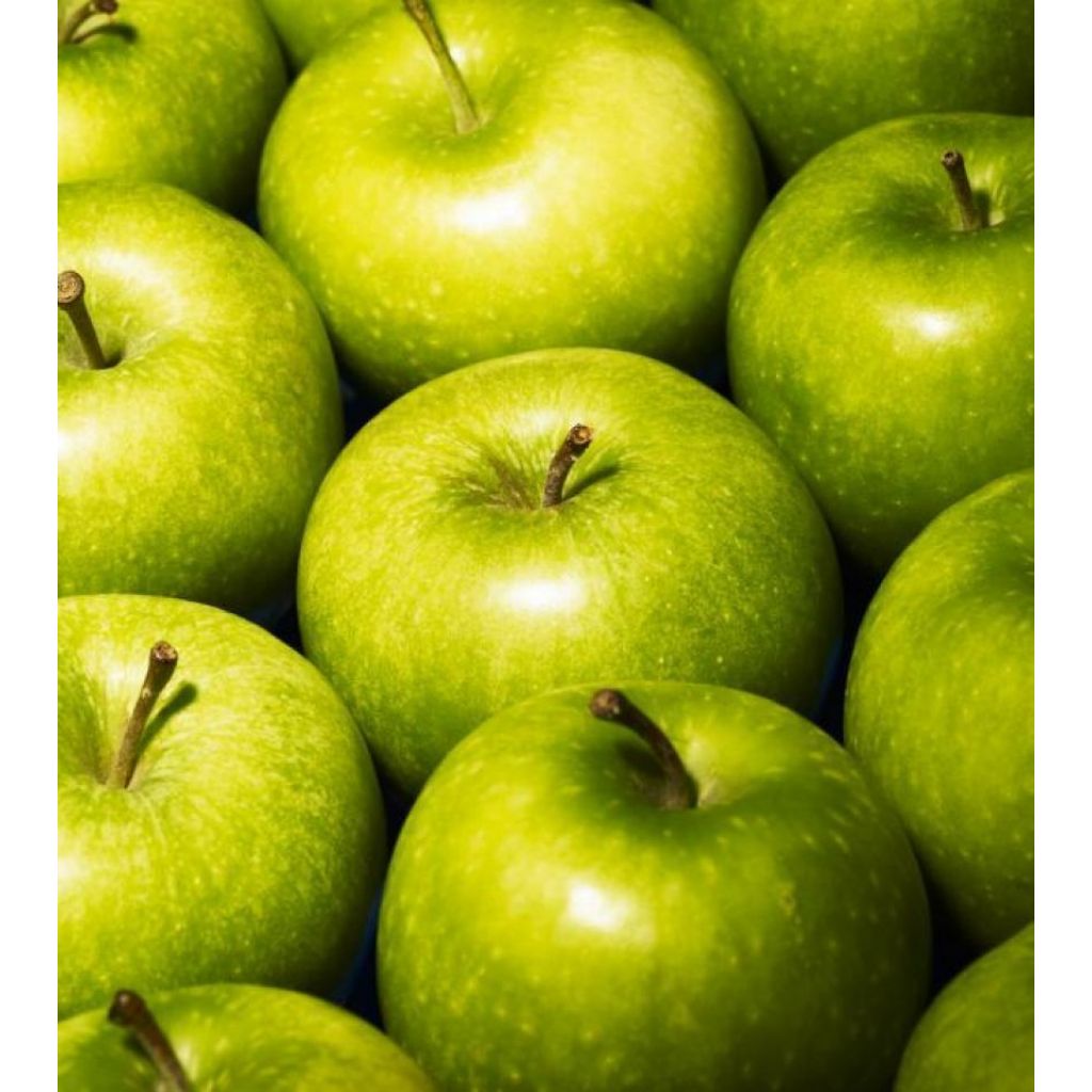 Mele Granny Smith bio I 73+ * Cartone 14 Kg