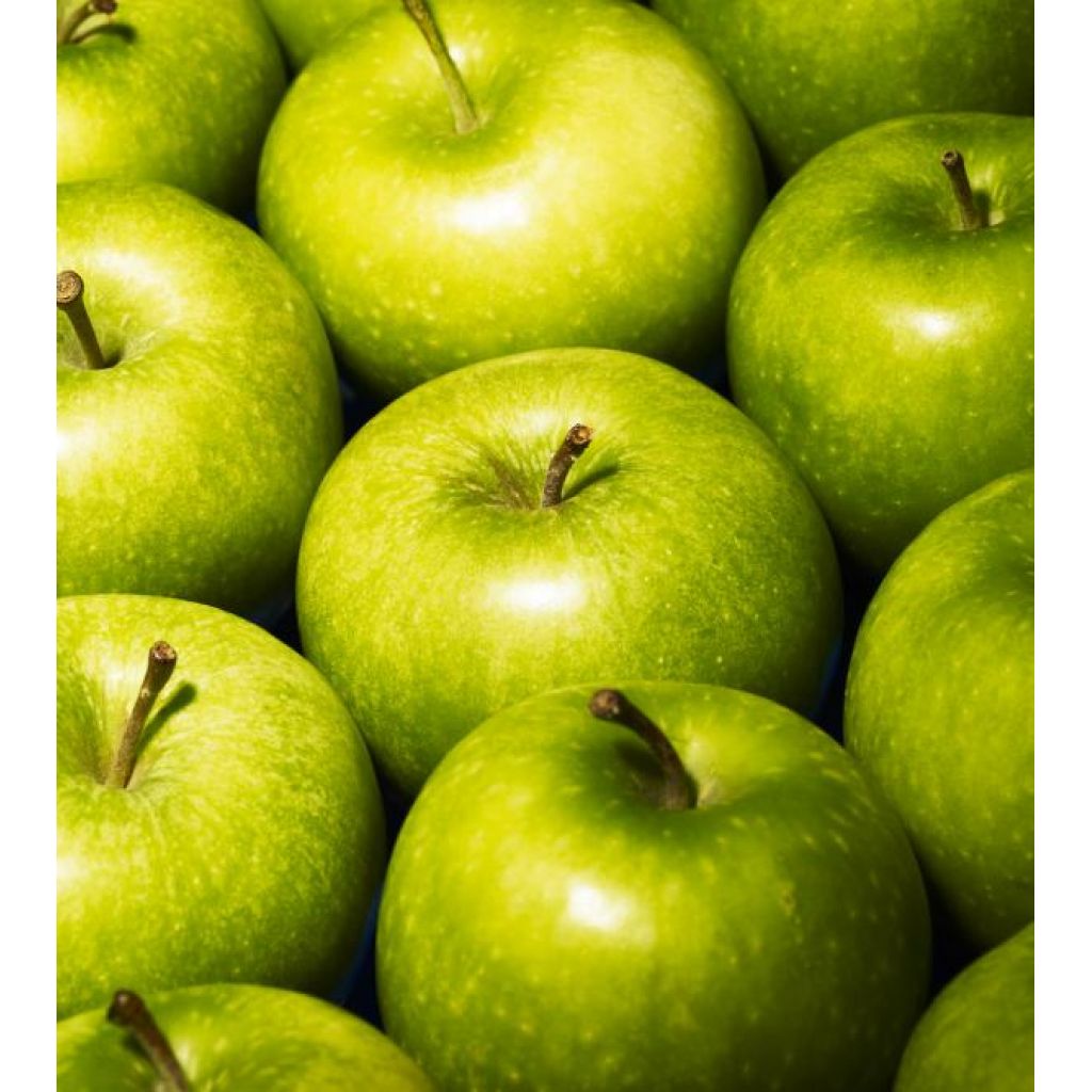 Mele GRANNY SMITH bio II plat&ograve; 8Kg