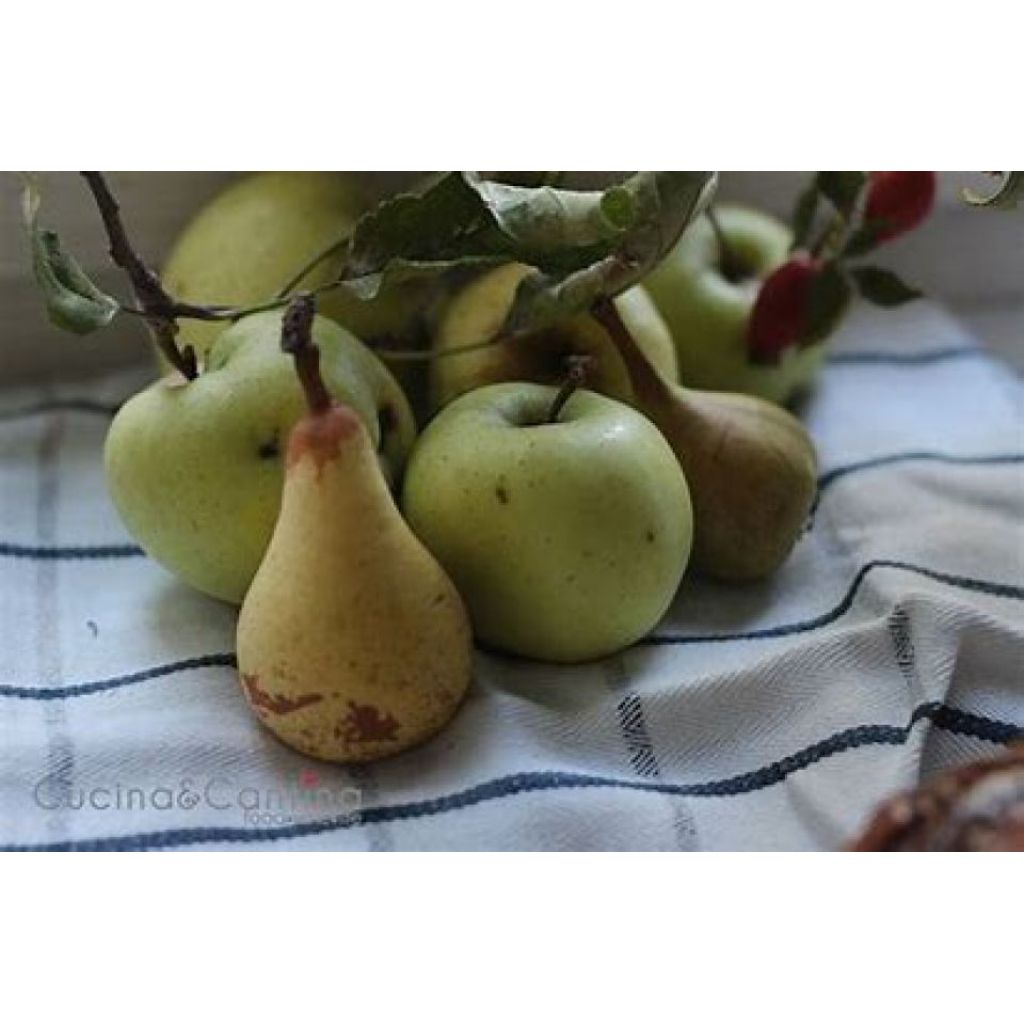 Mix mele + pere bio II scelta * Cartone 14 Kg