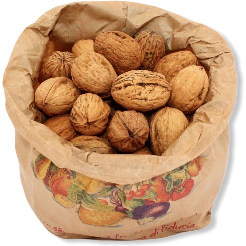 Noci Bio Sachetto 1 Kg