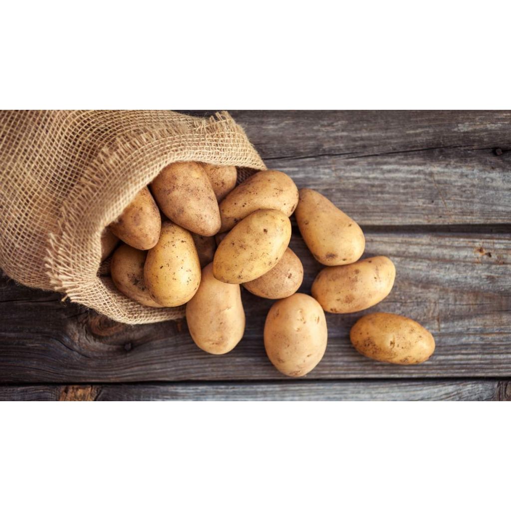 Patate bio di montagna * 18 Kg
