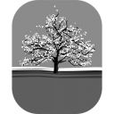 Azienda biologica Rossi Paolo