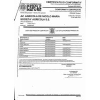 certificato bio pag 2