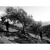 foto in bianco e nero