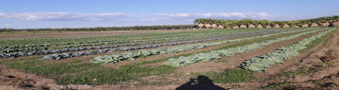 Naturalbiologico Soc. Cooperativa Agricola
