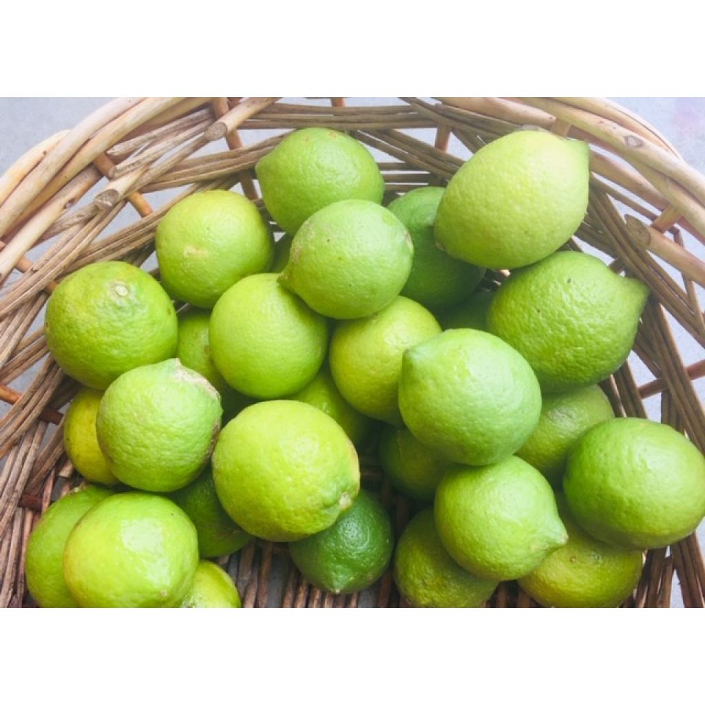 CASSETTA DI LIMONE VERDELLO BIOLOGICO - 10 KG