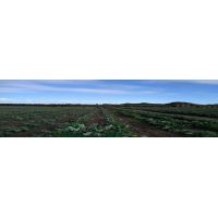 27023521_1438237552972166_6617098199267636479_o