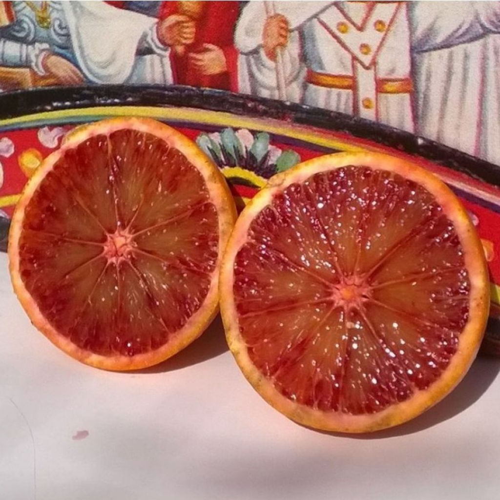 Arance Tarocco medio-piccole - Kg 16,5