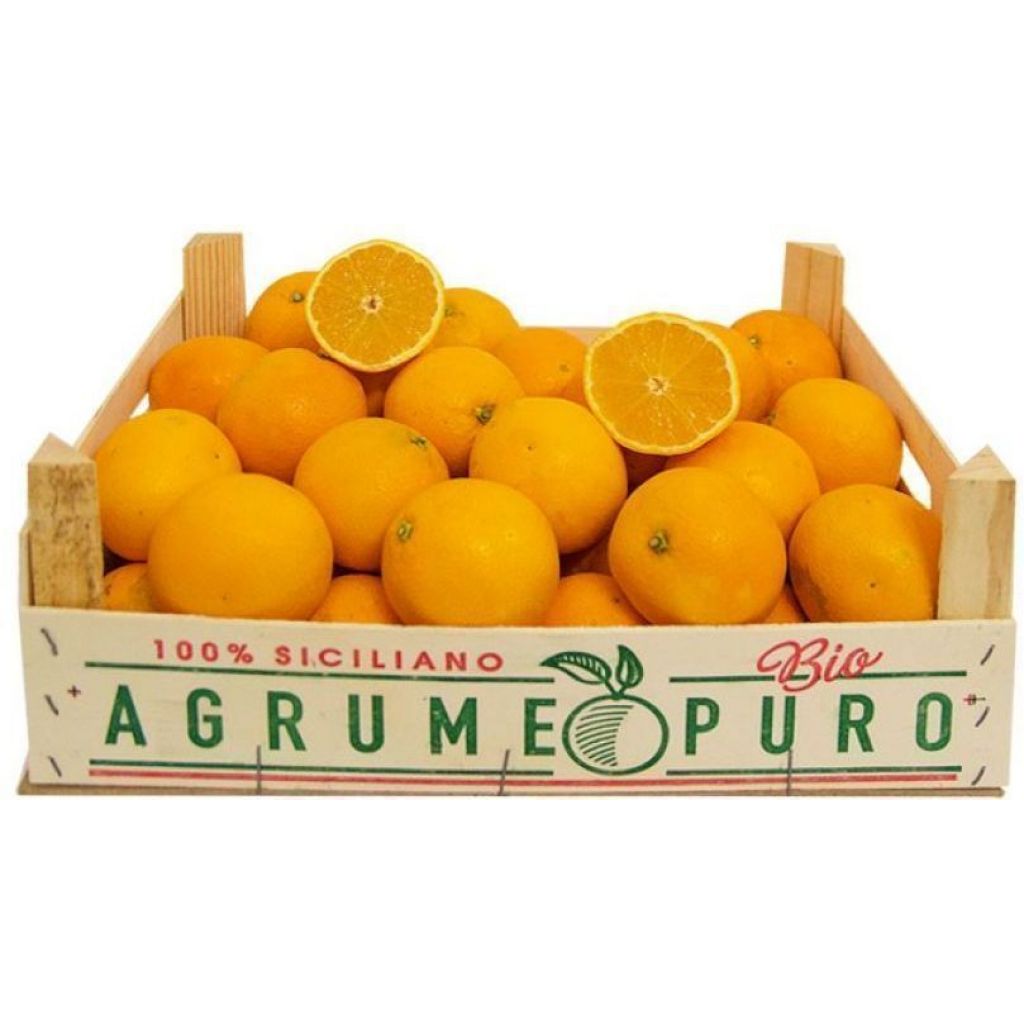 CASSETTA DI ARANCE NAVEL DA KG 18