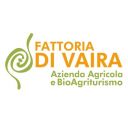 Fattoria Di Vaira