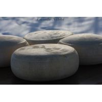 img_0881 [risoluzione del desktop]