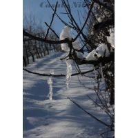 img_0894 [risoluzione del desktop]