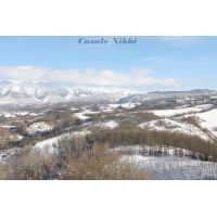 img_0914 [risoluzione del desktop]