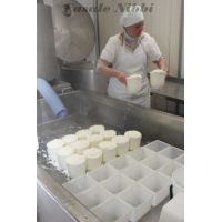 img_1025 [risoluzione del desktop]