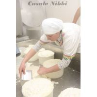 img_1065 [risoluzione del desktop]