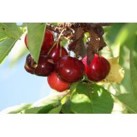 img_4046 [risoluzione del desktop]