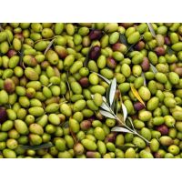 99b26791b3ce95dacc0cce9a5dbe8b52