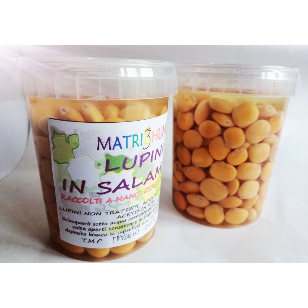 LUPINI IN SALAMOIA