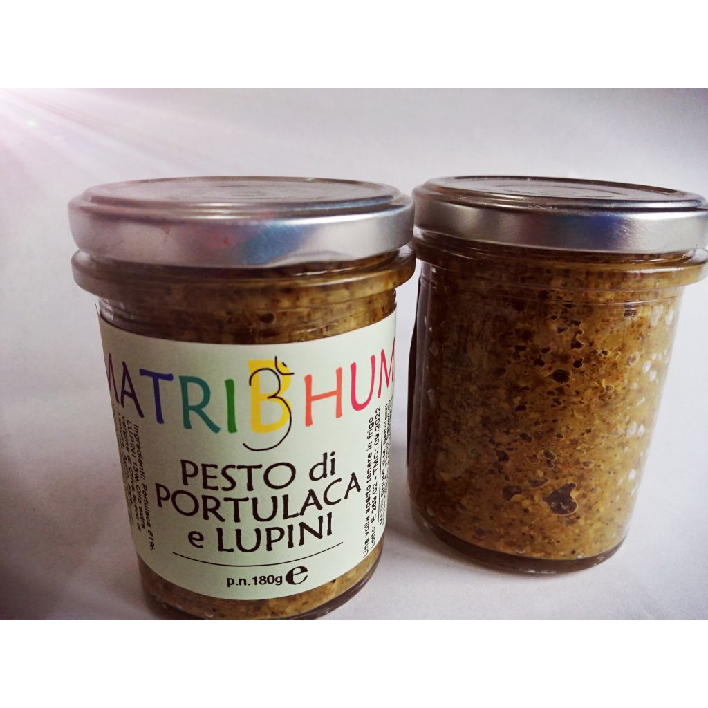PESTO DI PORTULACA E LUPINI