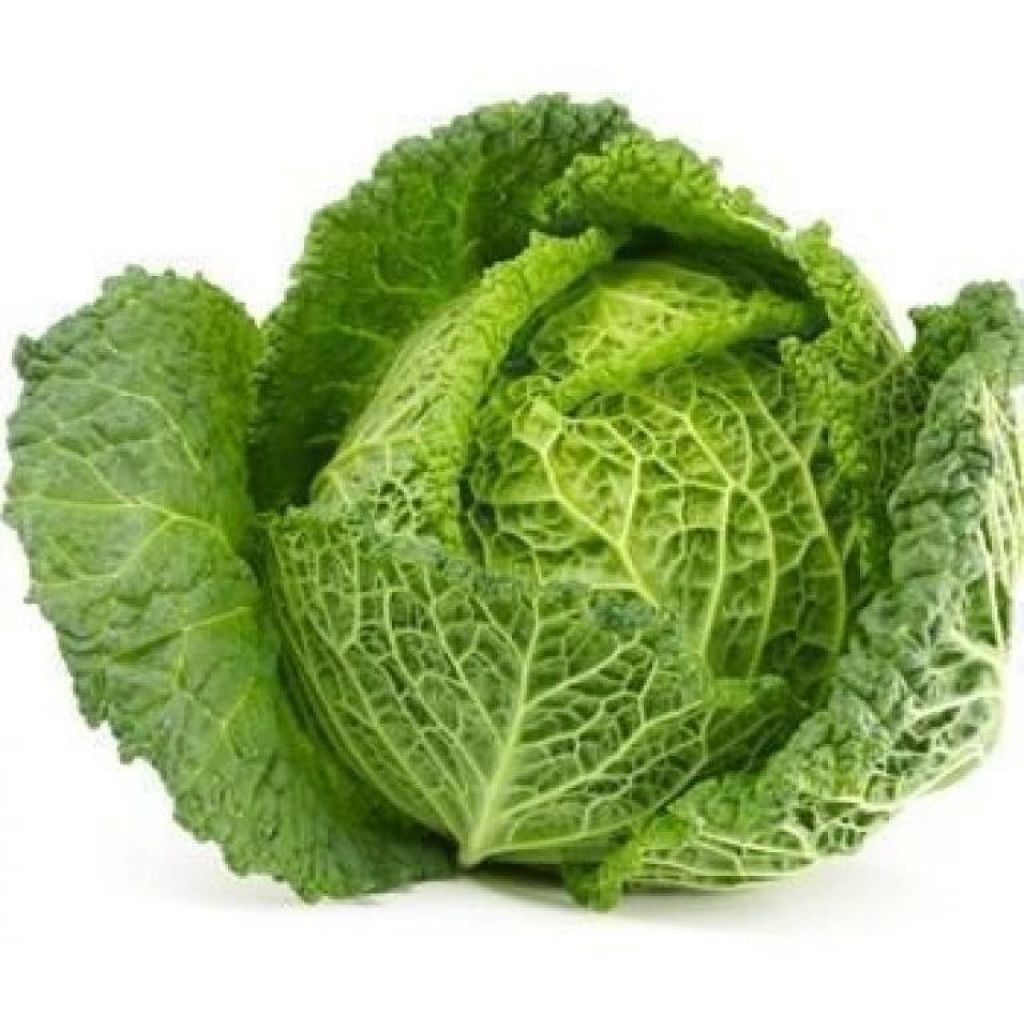 Cavolo Verza - ord. per pezzo
