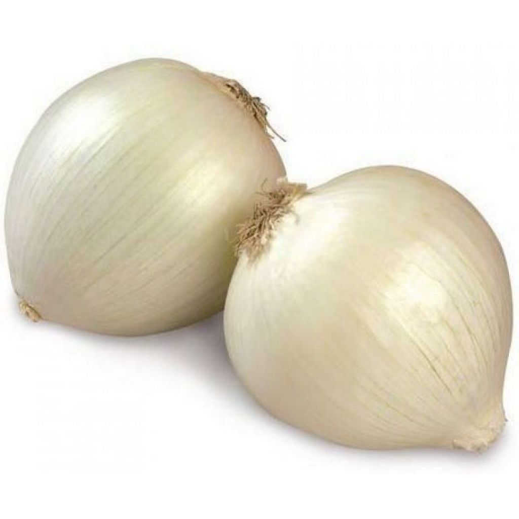Cipolle Bianche