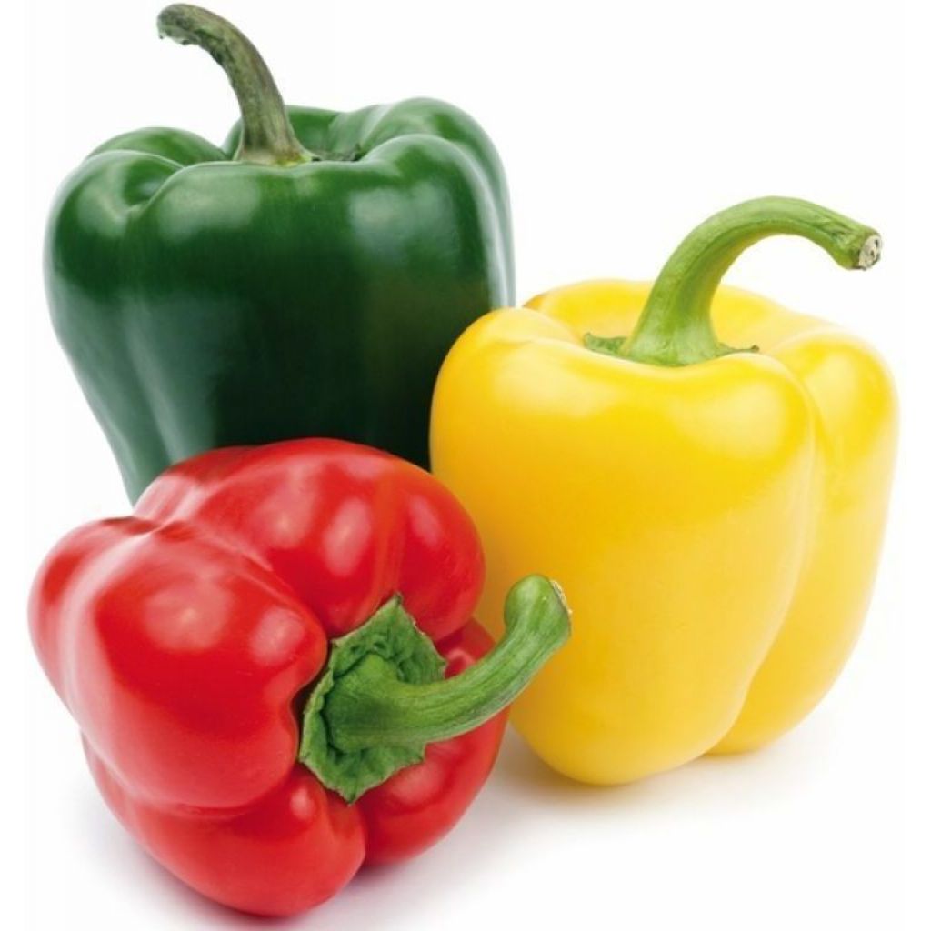 Peperoni - ord. per pezzo