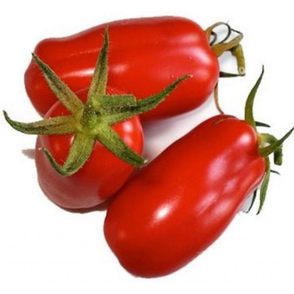 Pomodori S.Marzano