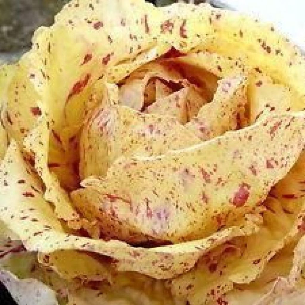 Radiccio Castelfranco - ord. per pezzo