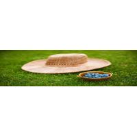 blueberryfruits1920x1200_fileminimizer