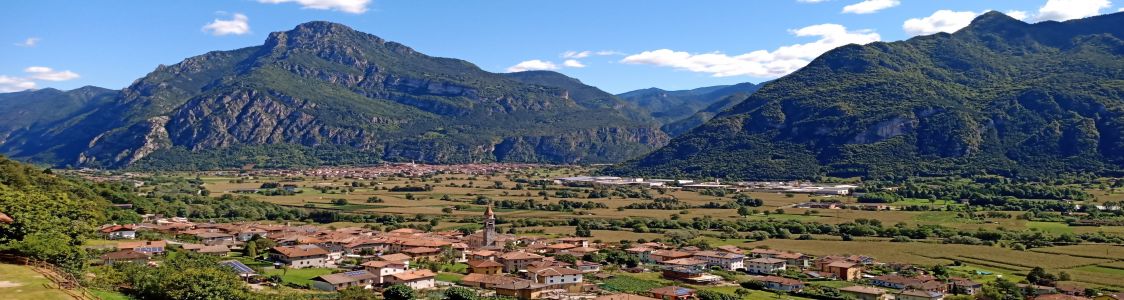 JUDICARIA OFFICINALI di Zimbaldi Nathan