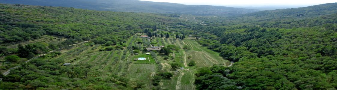 Az. Agr. San Niccol&ograve;