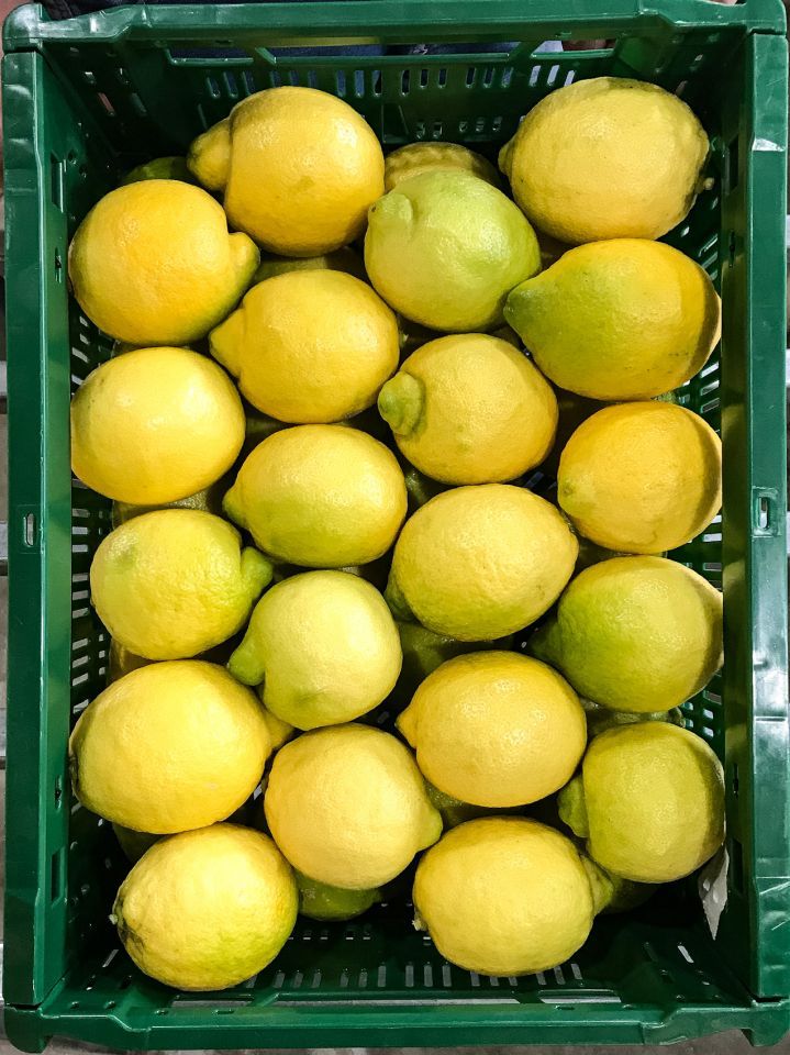 Limone Biologico Certificato Cassetta - 10 Kg