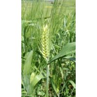 whatsapp image 20200306 at 18.11.58 1