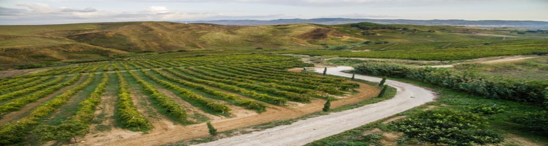 Azienda Agricola del Grillo