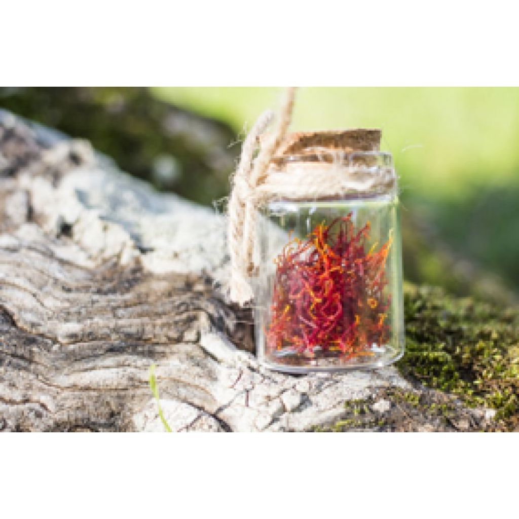 Zafferano Bio in stimmi confezionato in vetro