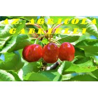 33407494_2029521863981415_265340249163431936_o