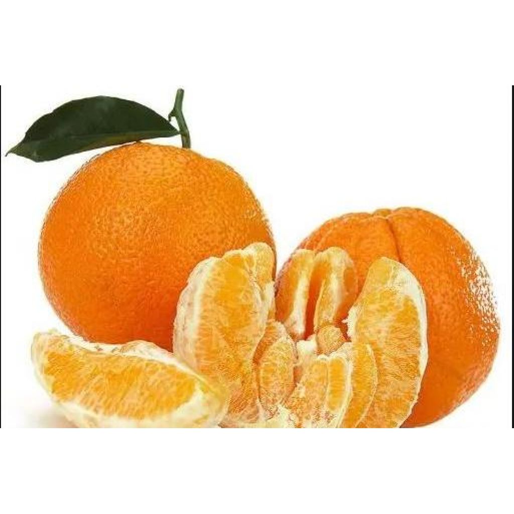 Arance Washington Navel