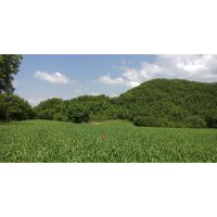 img_20230523_123026_695