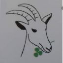 Comino Mattia azienda agricola Caprini