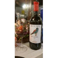 80454393_2633408120082505_8783917739111612416_n