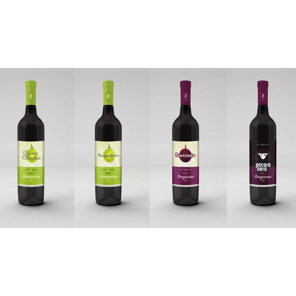 Scatola 12 bottiglie vini DOC 2022