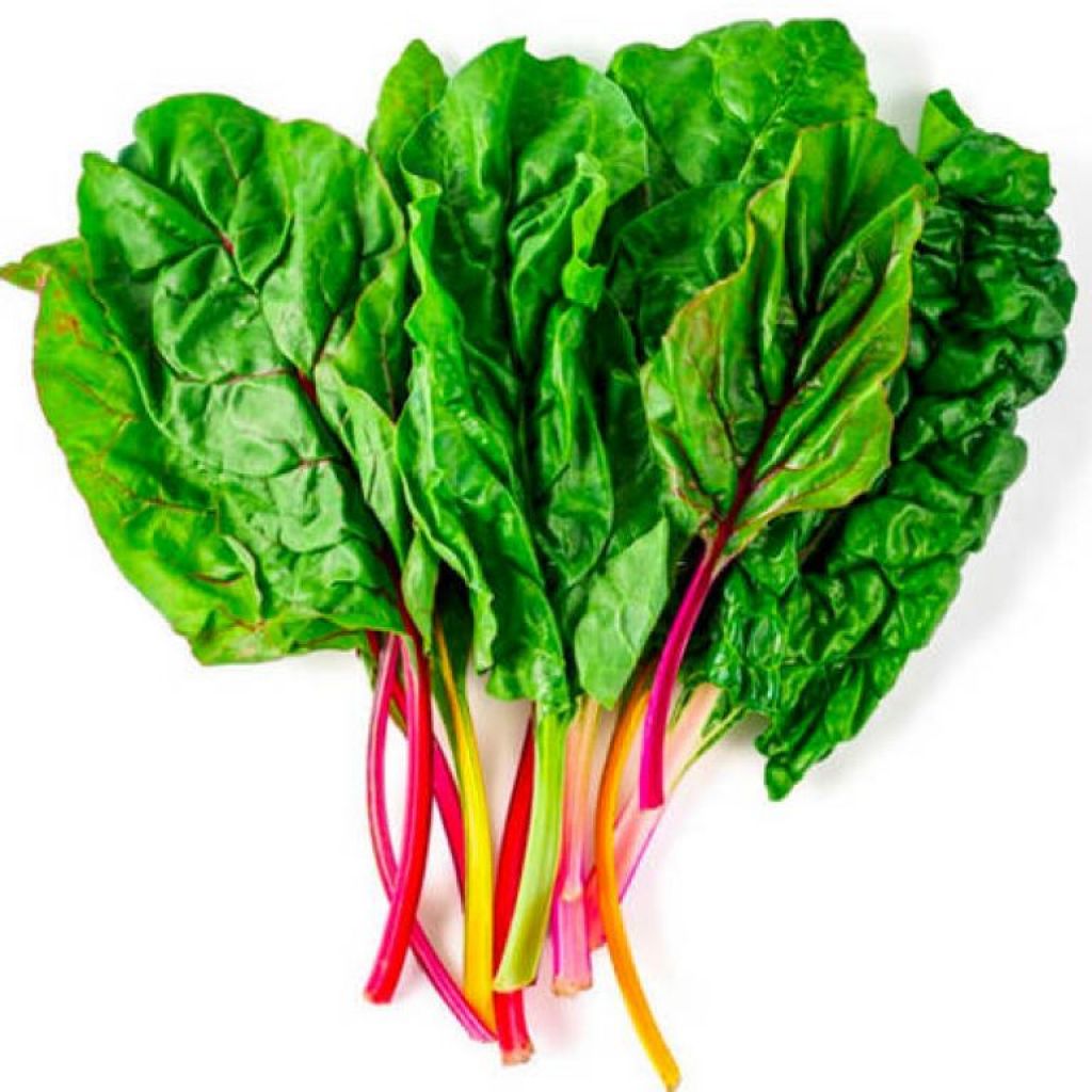 Bieta Costa Arcobaleno