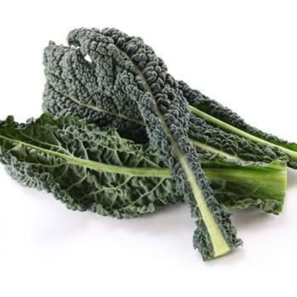 Black cabbage