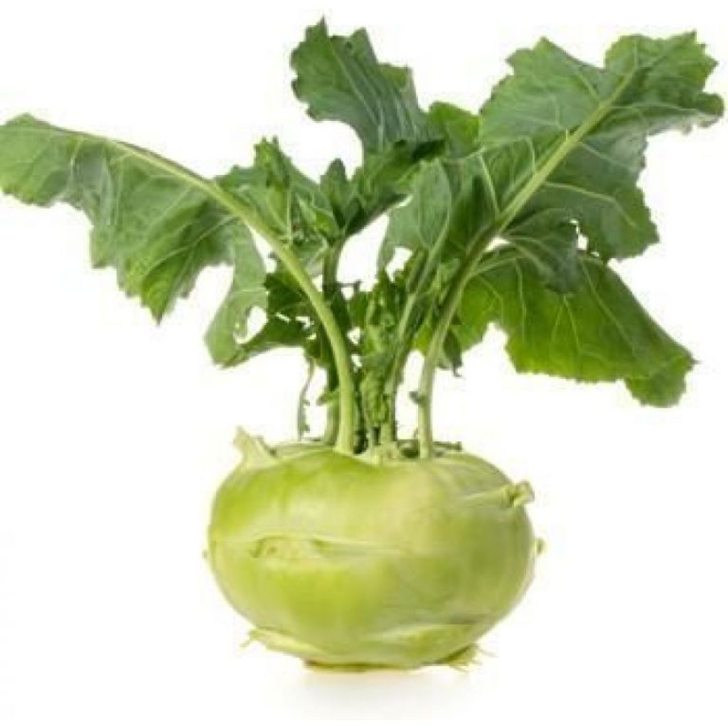 Kohlrabi